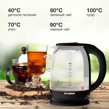 Чайник электрический Hyundai HYK-S3809