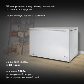 Морозильный ларь Hyundai CH3091WT