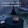 1648213_v05_s.jpg