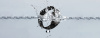 1650268_v04_s.jpg