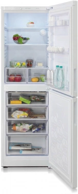 Холодильник Бирюса Б-6031