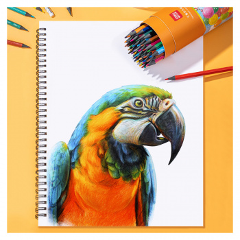 Карандаш цв. Deli  7073-36