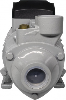 Насос садовый Ресанта ПСН-3300Ч