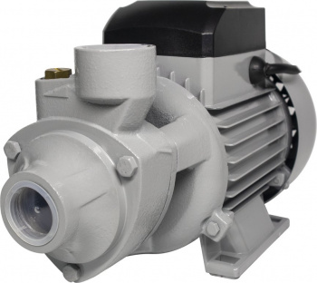 Насос садовый Ресанта ПСН-3300Ч