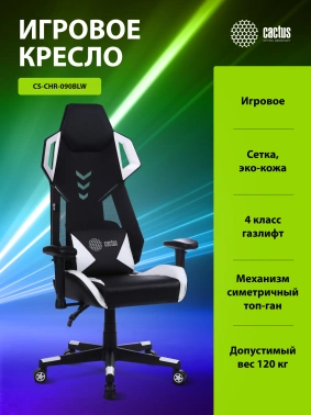 Кресло игровое Cactus  CS-CHR-090BLW