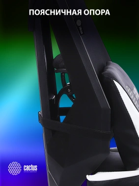 Кресло игровое Cactus  CS-CHR-090BLW