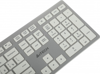 Клавиатура A4Tech Fstyler FX50