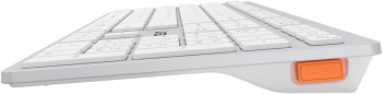 Клавиатура A4Tech Fstyler FBX50C