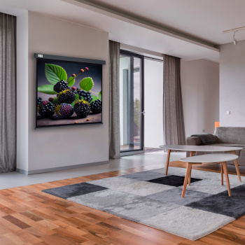 Экран Cactus 71