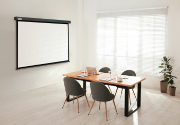 Экран Cactus 120