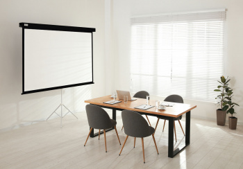 Экран Cactus 120