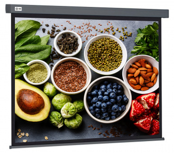 Экран Cactus 84