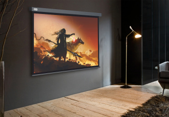 Экран Cactus 119