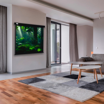 Экран Cactus 119