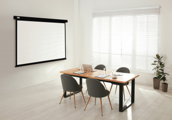 Экран Cactus 119