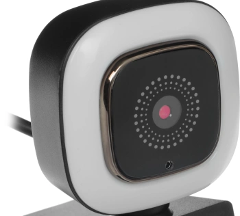Камера Web Ritmix RVC-220