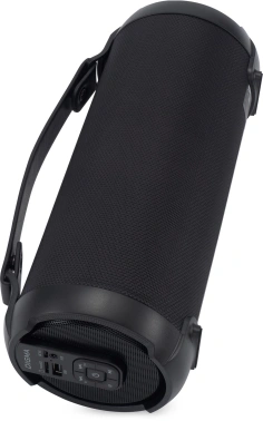 Колонка порт. Digma D-PS1520