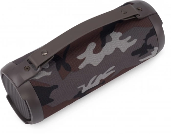 Колонка порт. Digma D-PS1520