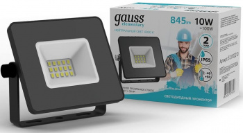 Прожектор уличный Gauss Elementary  613100210