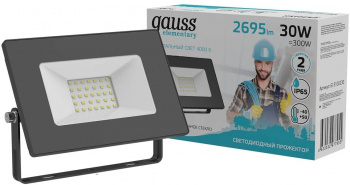 Прожектор уличный Gauss Elementary  613100230