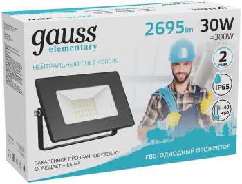 Прожектор уличный Gauss Elementary  613100230