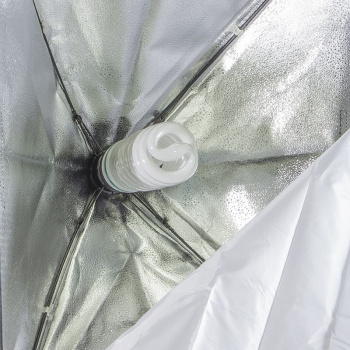 Комплект освещения Rekam  CL-310-FL2-SB-FL1S