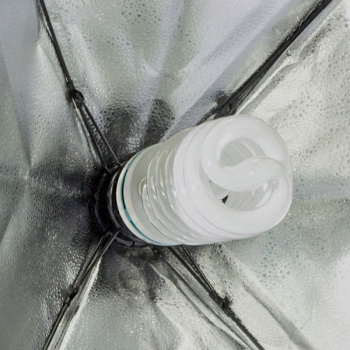 Комплект освещения Rekam  CL-310-FL2-SB-FL1S