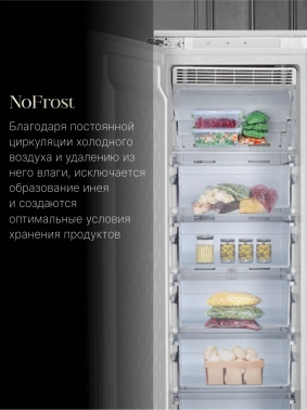 Freezer Ascoli ASF230WBI