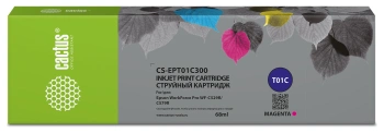 Картридж струйный Cactus CS-EPT01C300