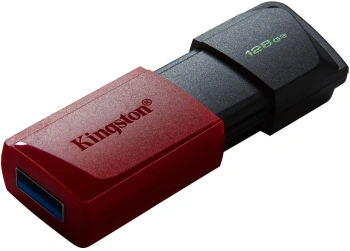 Флеш Диск Kingston 128GB DataTraveler Exodia M