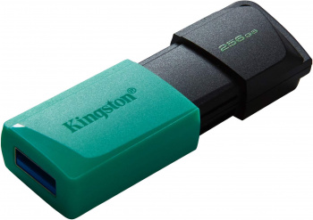 Флеш Диск Kingston 256Gb DataTraveler Exodia M