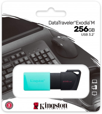 Флеш Диск Kingston 256Gb DataTraveler Exodia M
