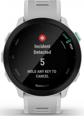 Смарт-часы Garmin Forerunner 55