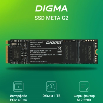 Накопитель SSD Digma PCIe 4.0 x4 1TB DGSM4001TG23T