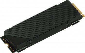 Digma PCI-E 4.0 x4 1Tb DGST4001TG33T Top G3 M.2 2280