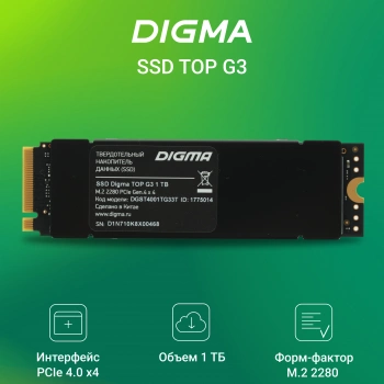 Накопитель SSD Digma PCIe 4.0 x4 1TB DGST4001TG33T