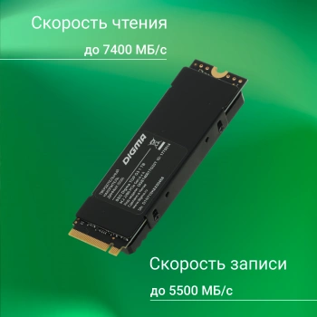 Накопитель SSD Digma PCIe 4.0 x4 1TB DGST4001TG33T