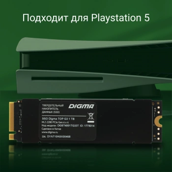 Накопитель SSD Digma PCIe 4.0 x4 1TB DGST4001TG33T
