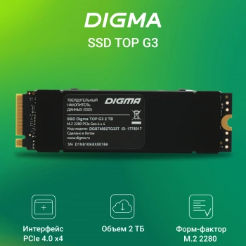 Накопитель SSD Digma PCIe 4.0 x4 2TB DGST4002TG33T