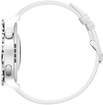 Смарт-часы Huawei Watch GT 3 Pro Frigga-B19V