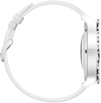 Смарт-часы Huawei Watch GT 3 Pro Frigga-B19V