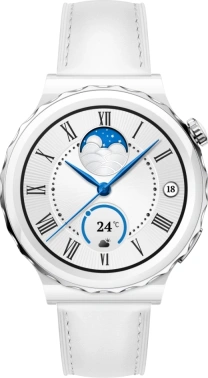 Смарт-часы Huawei Watch GT 3 Pro Frigga-B19V