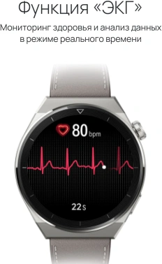 Смарт-часы Huawei Watch GT 3 Pro Frigga-B19V