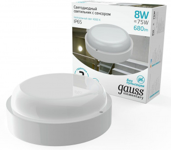 Светильник Gauss ЖКХ  126411208-S