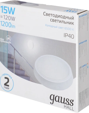 Светильник Gauss ЖКХ  193411315