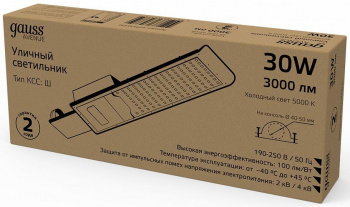 Светильник консольный Gauss  629534330