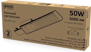 Светильник консольный Gauss  629534350