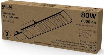 Светильник консольный Gauss  629534380