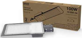 Светильник консольный Gauss  629534300