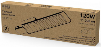 Светильник консольный Gauss  629534320